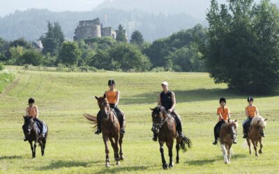 hd-reiten-Archiv-MTG-steve.haider.com-4.jpg