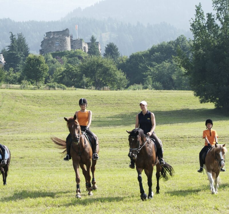 hd-reiten-Archiv-MTG-steve.haider.com-4.jpg